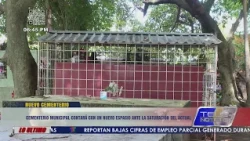 La Ceiba Municipal Cemetery to get new space due to overcrowding at current site
