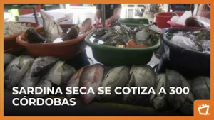 Escasea pescado seco al iniciar la Cuaresma en mercado capitalino
