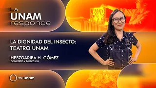 The Dignity of the Insect: Teatro UNAM. UNAM Responds 1381