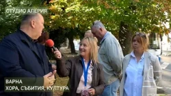 Премахват дървета, но кой ще компенсира загубата?