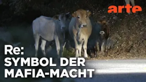 Die heiligen Kühe der Mafia | ARTE Re: