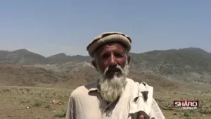 کنړ کې وچکالي