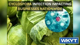 Cyclospora infection impacting businesses nationwide