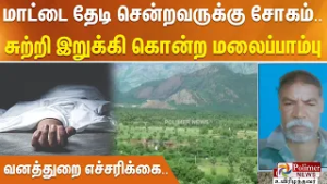 மாட்டை தேடி சென்றவருக்கு சோகம்.. சுற்றி இறுக்கி கொன்ற மலைப்பாம்பு - வனத்துறை எச்சரிக்கை..