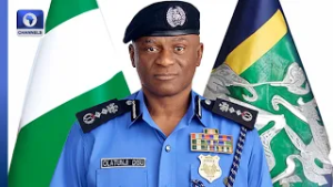 State Police Has Come To Stay – IGP Disu