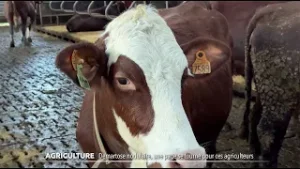 JT du vendredi 30 janvier 2026