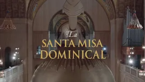 Santa Misa Dominical - 2026-02-22
