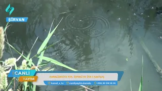 Şirvan sakinləri kanalizasiya xətlərinin olmamasından əziyyət çəkir