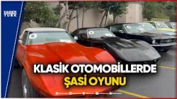 "Change" Operation on Classic Cars: 37 Detained, 61 Vehicles Seized