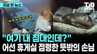 "여기 내 침대인데?" 아르헨티나 어선 휴게실 점령한 뜻밖의 손님｜ TJB 대전·세종·충남뉴스