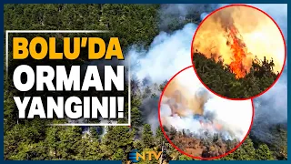Breaking News: Forest Fire in Bolu! Response Efforts Underway | NTV
