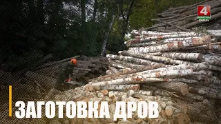 Узнали, как можно купить дрова на Гомельщине