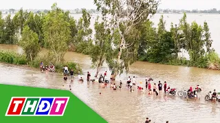 Experiencing Flooded Field Swimming During the Flood Season | THDT