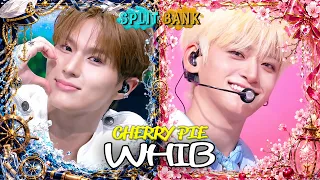 [📺Split Bank] WHIB (휘브) - CHERRY PIE | KBS WORLD TV
