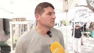Новина плюс: Добра година за българските пчелари, пазарът остава труден
