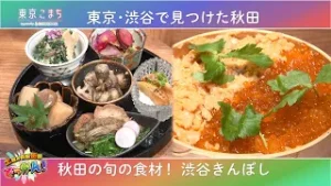 秋田の食文化を発信している渋谷区道玄坂の『渋谷きんぼし』へ?「土曜の情報缶詰どっかん！」♪東京こまち supported by SHOWROOM♪2026年1月31日放送