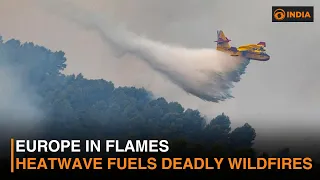 Europe Wildfires Spiral Out of Control | France, Spain & Greece Battle Deadly Blazes