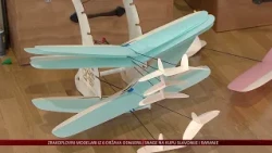 Zrakoplovni modelari iz 6 država odmjerili snage na Kupu Slavonije i Baranje
