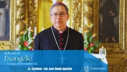 Gospel Reflection | October 25