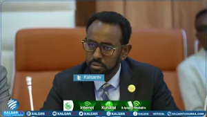 DFS oo Garab Istaag U Muujisay Wadamada Khaliijka, waxayna si adagna u Cambaareysay Weerarada Iiraan