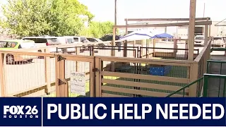 Houston Pets Alive in need of new play yard