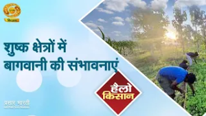 Hello Kisan | हैलो किसान- शुष्क क्षेत्रों में बागवानी की संभावनाएं | DD Kisan | March 4, 2026