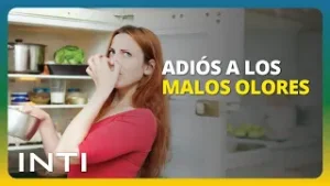 Carbón + bicarbonato: el truco definitivo para un refrigerador fresco | INTI Tv