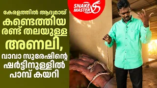 രണ്ട് തലയുള്ള അപൂർവയിനം അണലി | Rare Two-Headed Russell's Viper | Snakemaster EP 1198
