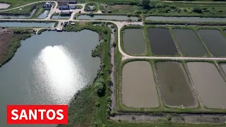 POKRAJINA PODSTIČE PODIZANJE I REKONSTRUKCIJU RIBNJAKA