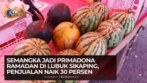 Harga Tak Naik Meski Laris, Semangka dan Pepaya Jadi Favorit Berbuka di Lubuk Sikaping