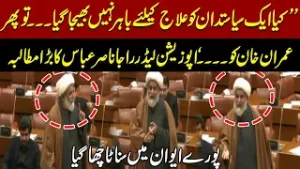 “Kya Ek Siyasatdan Ko Ilaj ke Liye Bahar Nahi Bheja Gaya? Raja Nasir Abbas Hard Speech in Senate