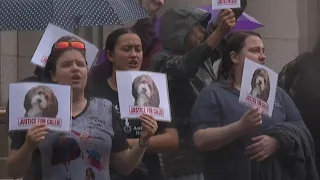 Community rallies for Warwick School District facility dog despite postponed hearing