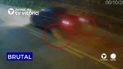 Police investigate alleged case of animal cruelty against two dogs