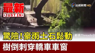 Terrifying! Heavy Rain Causes Landslide, Fallen Tree Pierces Car Window [Breaking News]