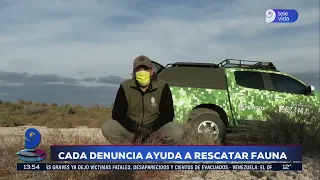 Video: This Is How Over 60 Rescued Birds Were Released