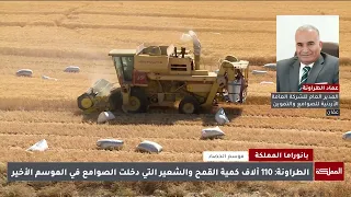Bountiful Wheat and Barley Harvest Revitalizes Fields