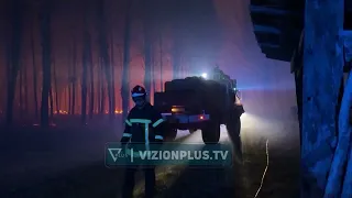 Zjarret djegin pyjet në Europë, situatë kritike në disa zona në Belgjikë, Greqi dhe Francë