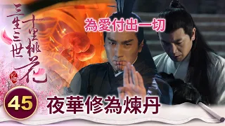 付出生命的愛！太子不惜斷臂散盡修為 只為救未婚妻的心上人【三生三世十里桃花】精華 EP45-6 楊冪、趙又廷、迪麗熱巴、高偉光、張智堯 @ctvdrama_classic