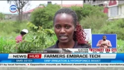 Farmers Urged to Adopt Modern Technology to Boost Vegetable Yields