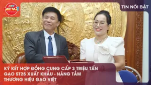 KÝ KẾT HỢP ĐỒNG CUNG CẤP 3 TRIỆU TẤN GẠO ST25 XUẤT KHẨU – NÂNG TẦM THƯƠNG HIỆU GẠO VIỆT