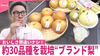 【いまダケッ】約30種類を栽培“ブランド梨” うまみたっぷり！梨ジュース  群馬･高崎市
