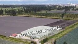 - TvAgro by Juan Gonzalo Angel