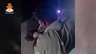 चितवन राष्ट्रिय निकुञ्जले जङ्गली हात्ती ‘ध्रुवे’लाई ‘रेडियो कलर’ जडान  || NEPAL TELEVISION