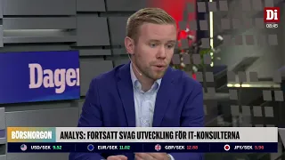 Analytikern: Extremt pressad sektor – många intressanta bolag