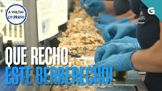Que recho, este BERBERECHO | A VOLTAS CO PRATO
