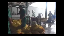 Frutas Selectas Cienfuegos Business Unit Increases Revenue