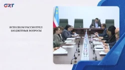 EXECUTIVE COMMITTEE REVIEWED BUDGETARY ISSUES