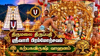 திருமலை திருப்பதி ஸ்ரீவாரி பிரம்மோற்சவம் | கற்பகவிருக்ஷ வாஹனம் | Sri SankaraTV