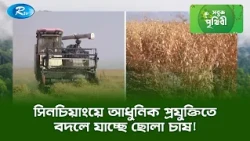 সিনচিয়াংয়ে আধুনিক প্রযুক্তিতে বদলে যাচ্ছে ছোলা চাষ! | Sobuj Prithibe Clips | Rtv