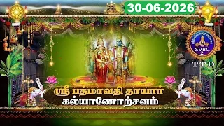 Sri Padmavathi Ammavari || Kalyanotsavam || Tiruchanoor || 30-06-2026 || SVBC2 Tamil || SVBC TTD